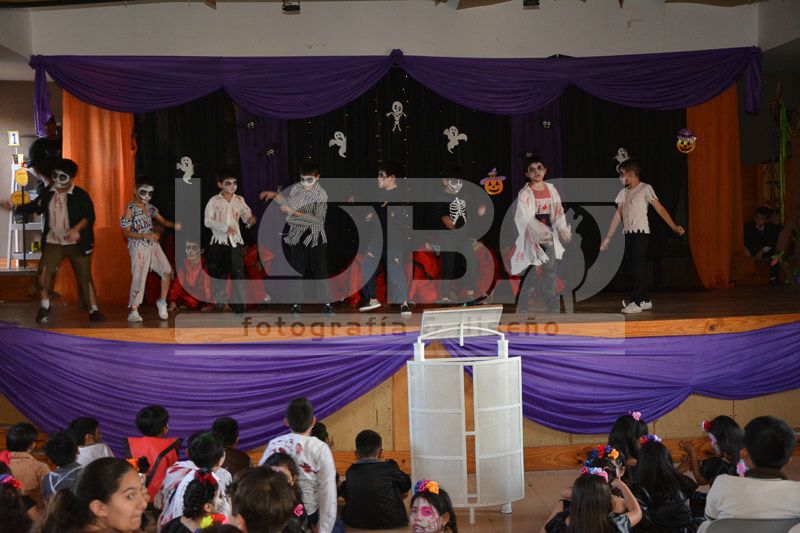 LBO_7685